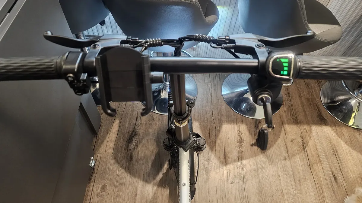Honeywhale S6-s Bicicleta Elétrica Adulto, 750w-40km-35km