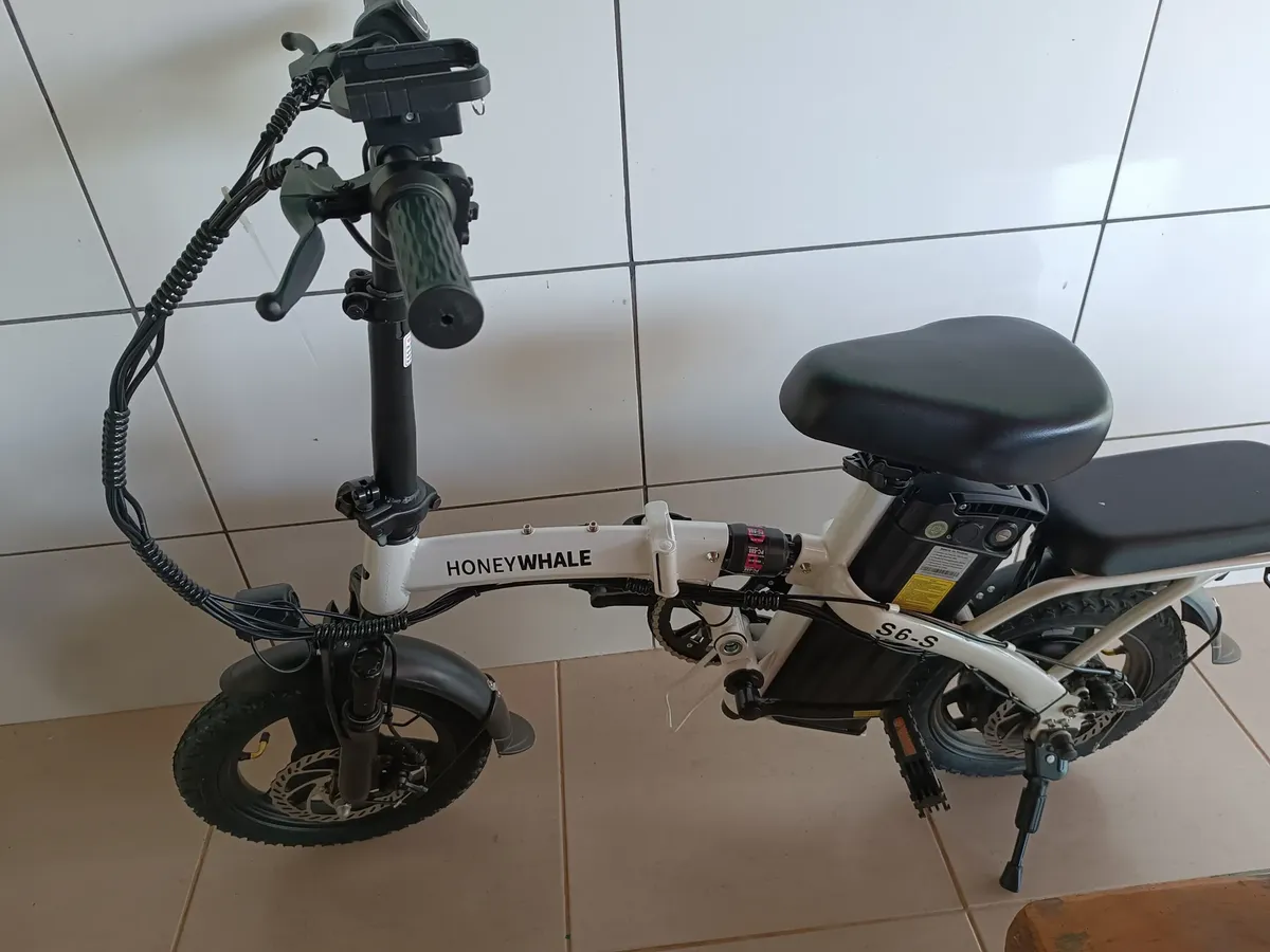 Honeywhale S6-s Bicicleta Elétrica Adulto, 750w-40km-35km
