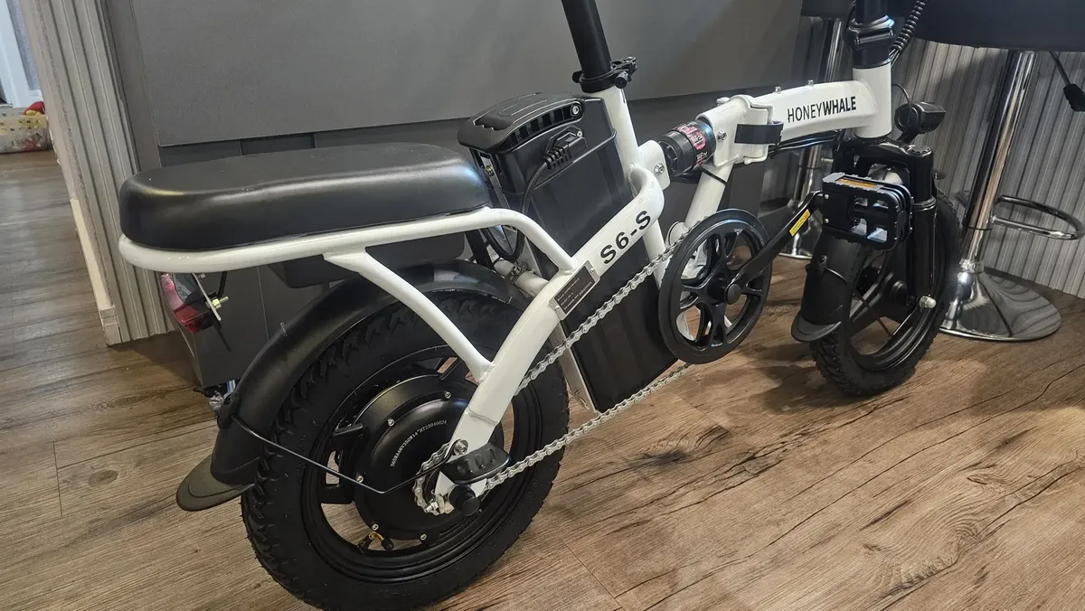 Honeywhale S6-s Bicicleta Elétrica Adulto, 750w-40km-35km